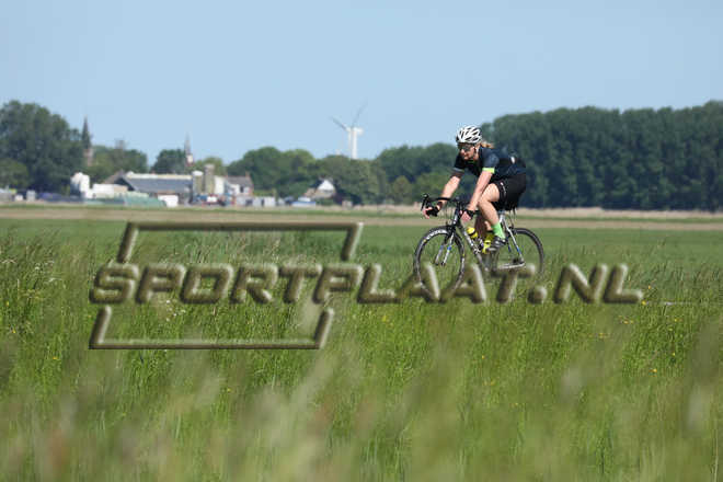 F01390.jpg